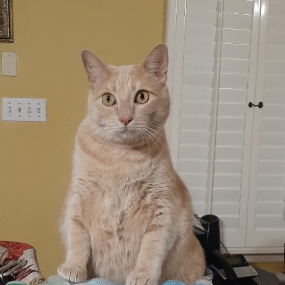 Threft Prevention - Picture 6 of 8